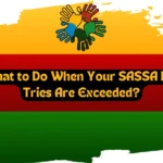 What to Do When Your SASSA PIN Tries Are Exceeded?