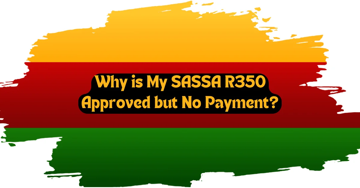 Why is My SASSA R350 Approved but No Payment